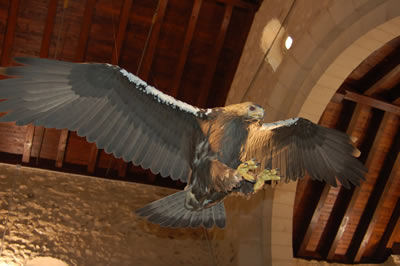 Casa del Parque del Águila Imperial