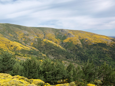 Cerro de la Escusa Iruelas