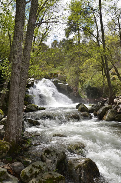 Garganta de Iruelas 1
