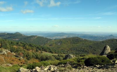 Senda Pozo de la Nieve (Desde las Barrancas)