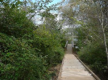 Senda de los Almendros