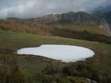 Liegos-Acebedo