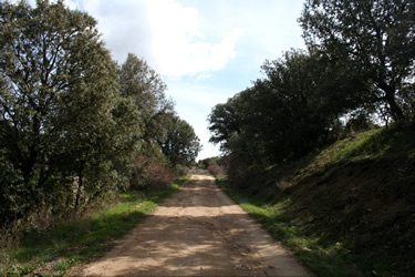 Senda de Orejanilla