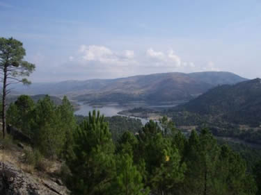 Cerro de las Víboras