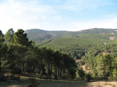 Camino de San Gregorio