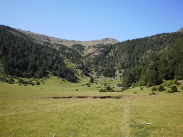 Sendero de las Nilsas de Neila