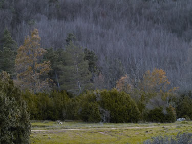 Sendero de Penches